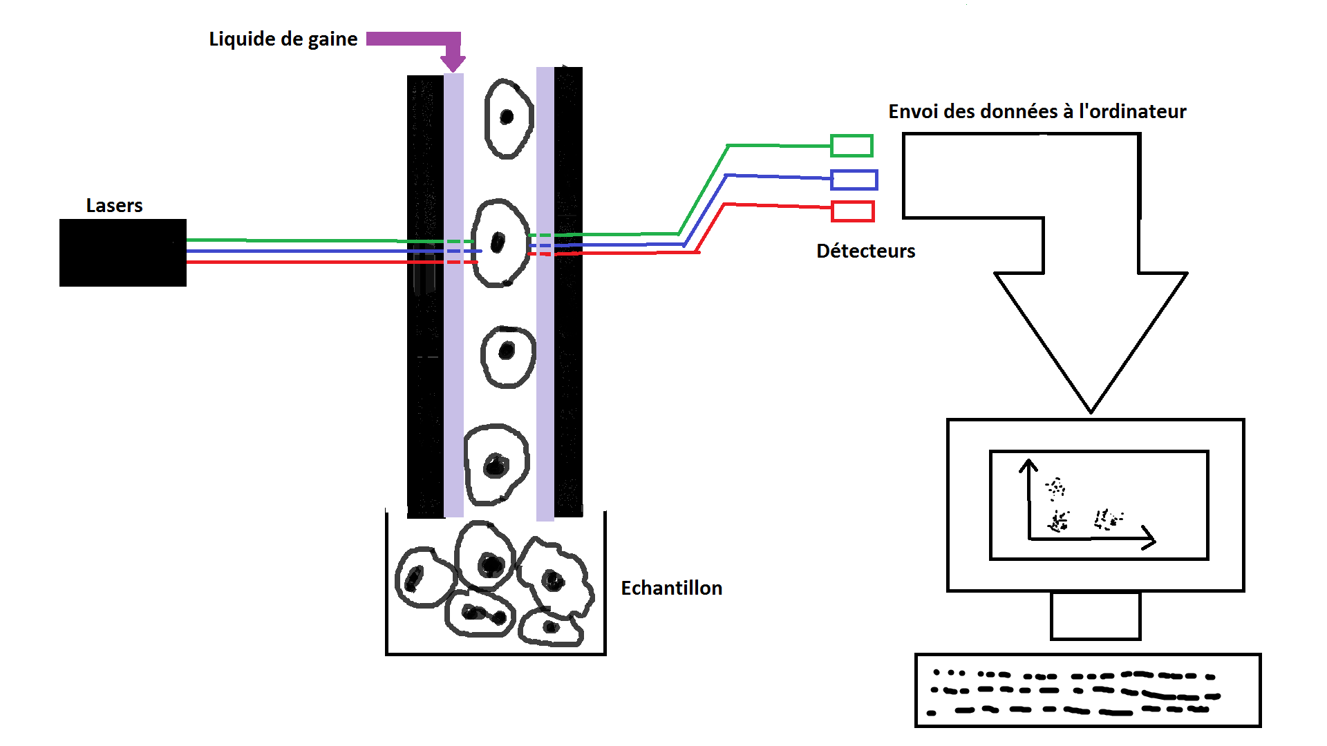 La cytométrie en flux - Chercheur&Co