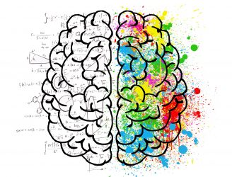 La Semaine du cerveau c'est du 13 au 19 mars 2017.