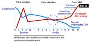 Schéma représentant les 3 phases de l'infection : primo-infection, phase chronique et phase SIDA