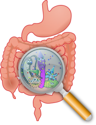 Le microbiote ce sont plusieurs milliers de milliards de bscteries qui organisent une fete dans votre intestin !